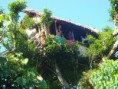 /album/tanna-d/a297697-10150764272130324-811830323-20077369-419379-n-jpg/