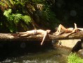 /album/tanna-d/a316036-10150764226900324-811830323-20076566-3878265-n-jpg/